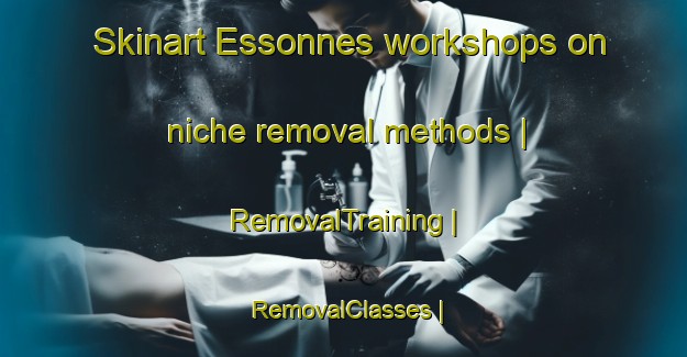 Skinart Essonnes workshops on niche removal methods | RemovalTraining | RemovalClasses | SkinartTraining-France